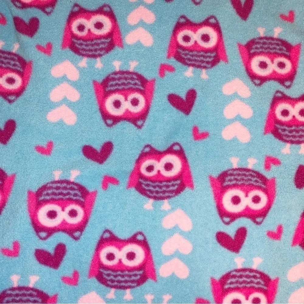 Hanna Andersson Blue and Purple Owl Fleece Pullover Size 6-7 (120)